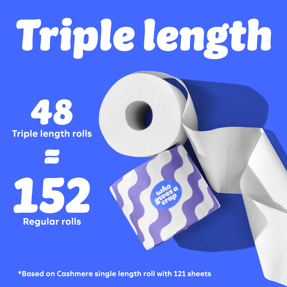 Graphic with blue background showing a toilet paper roll and purple wave Who Gives A Crap packaging. Text reads: “48 triple length rolls = 152 Regular Rolls.” Small text at the bottom says: “Based on Cashmere single length roll with 121 sheets”
