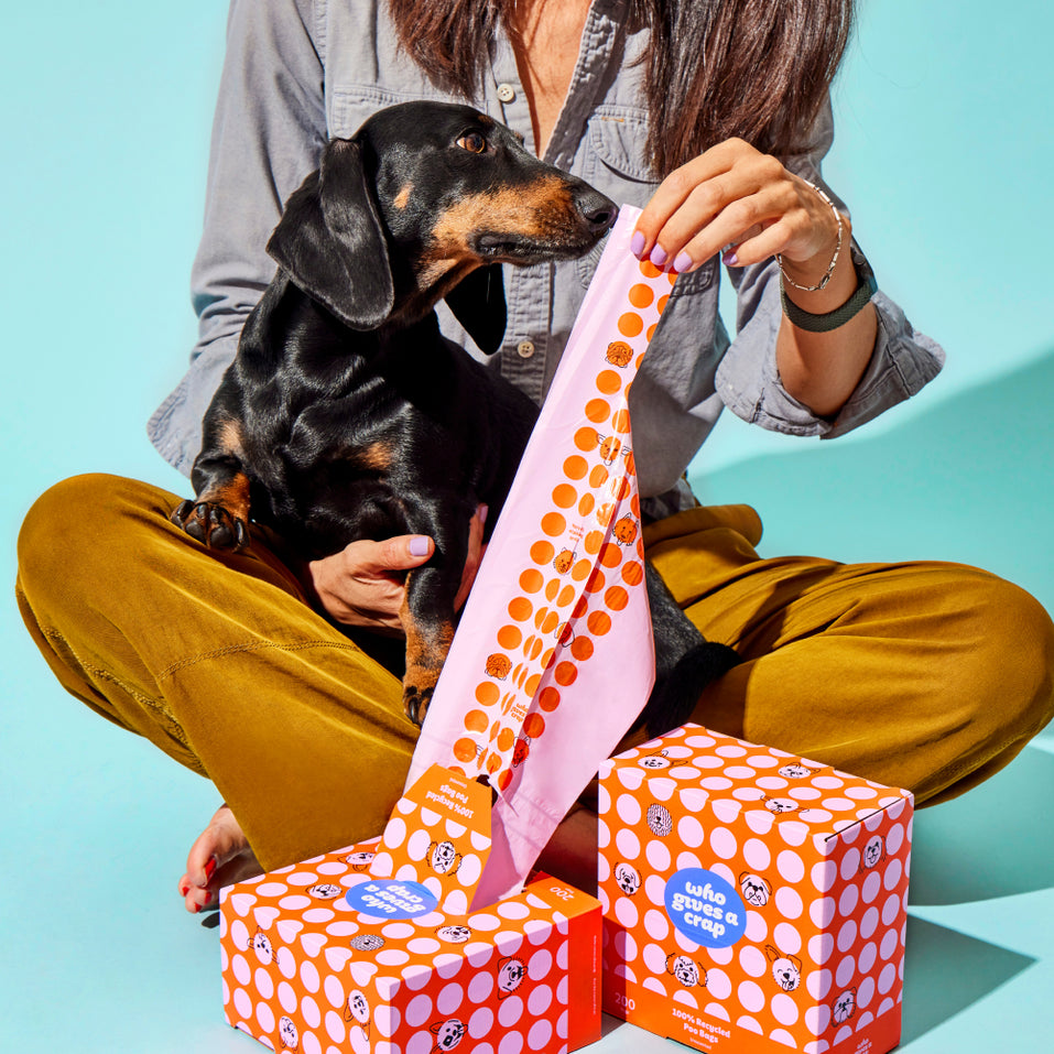 Boxes of Who Gives a Crap recycled dog poo bags stacked next to small black dog with sticker on image that says the most fetching way to walkie